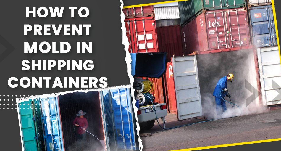 How to Prevent Mold in Shipping Containers