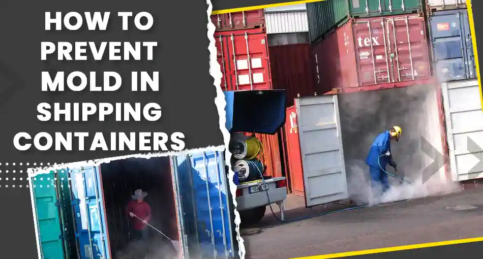 Workers pressure washing and cleaning the interior of shipping containers to prevent mold and mildew buildup.