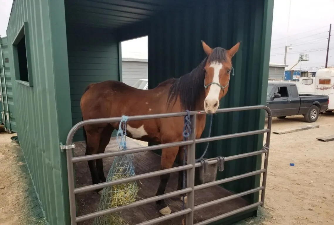 establos para caballos en contenedores