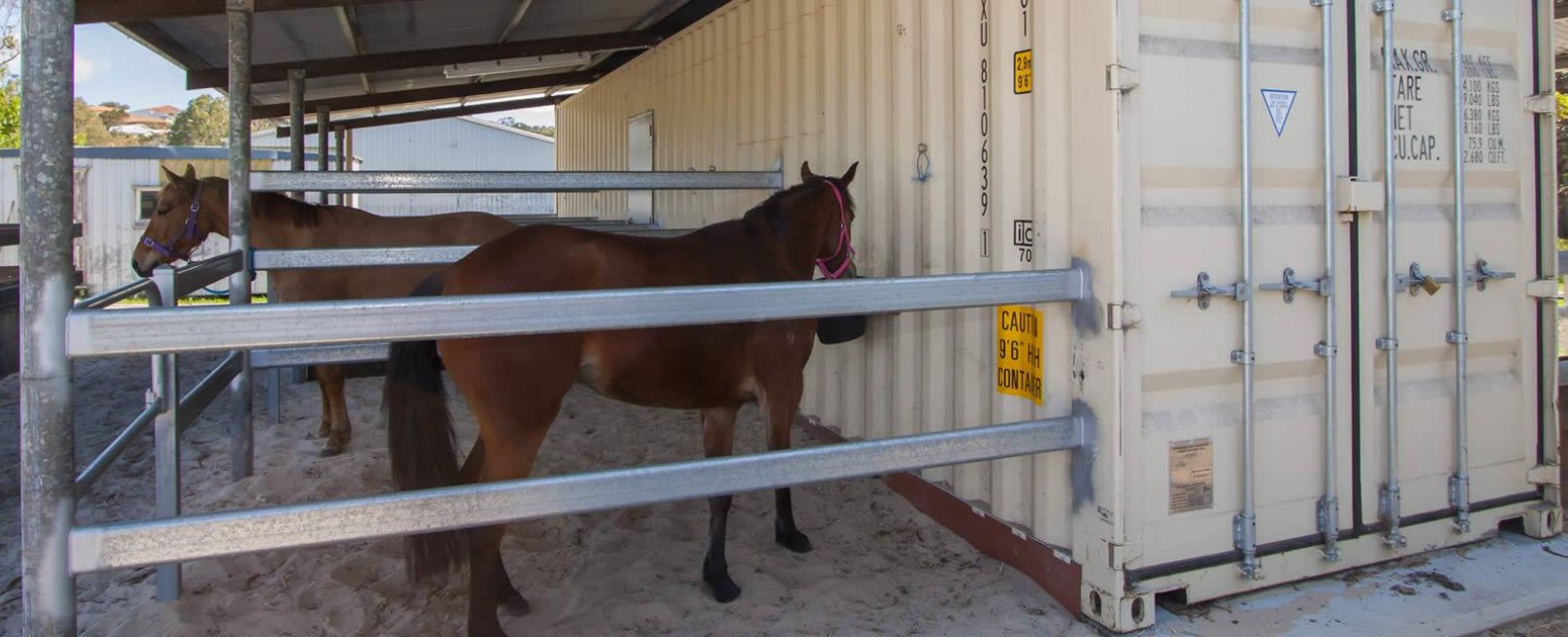 shipping container horse shelter