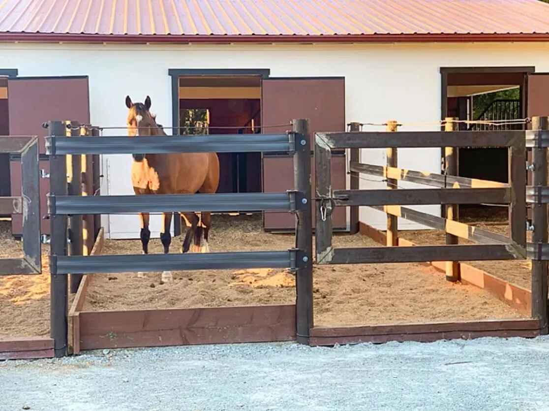 shipping container horse stable