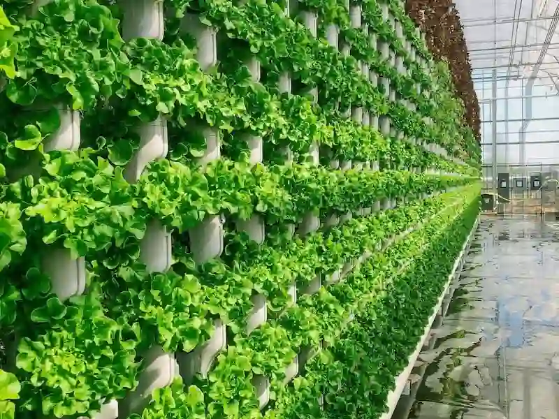 greenhouse-article-high-yield-hydroponic-vertical-wall Interior of a high-tech greenhouse showing hundreds of plants growing vertically in a clean, space-saving column system.