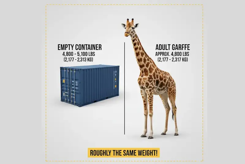 Graphic comparing the weight of a 20ft shipping container (4,800 lbs) to the weight of an adult giraffe (roughly the same weight).